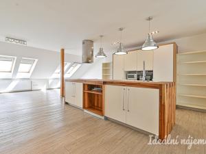 Pronájem bytu 6+kk a větší, Slavkov u Brna, U Mlýna, 260 m2