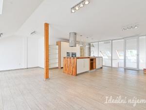 Pronájem bytu 6+kk a větší, Slavkov u Brna, U Mlýna, 260 m2