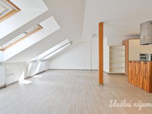 Pronájem bytu 6+kk a větší, Slavkov u Brna, U Mlýna, 260 m2