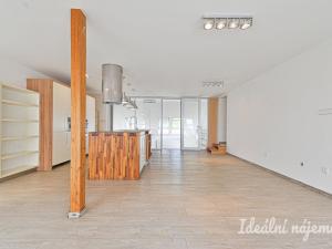 Pronájem bytu 6+kk a větší, Slavkov u Brna, U Mlýna, 260 m2
