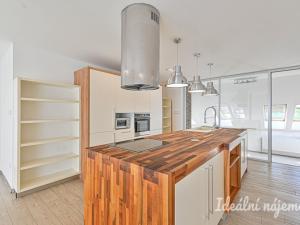 Pronájem bytu 6+kk a větší, Slavkov u Brna, U Mlýna, 260 m2