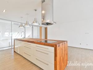 Pronájem bytu 6+kk a větší, Slavkov u Brna, U Mlýna, 260 m2
