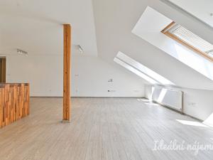 Pronájem bytu 6+kk a větší, Slavkov u Brna, U Mlýna, 260 m2