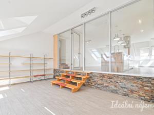 Pronájem bytu 6+kk a větší, Slavkov u Brna, U Mlýna, 260 m2