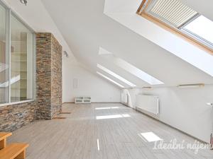 Pronájem bytu 6+kk a větší, Slavkov u Brna, U Mlýna, 260 m2