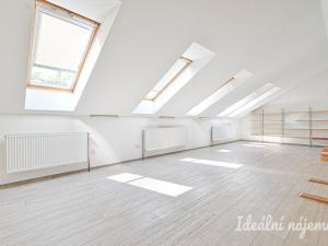 Pronájem bytu 6+kk a větší, Slavkov u Brna, U Mlýna, 260 m2