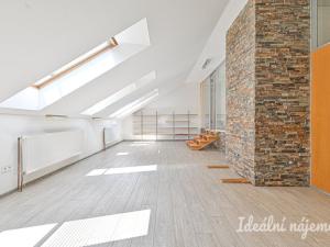 Pronájem bytu 6+kk a větší, Slavkov u Brna, U Mlýna, 260 m2