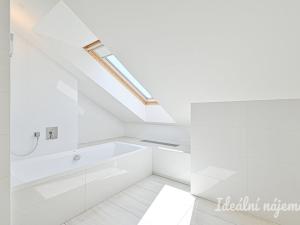 Pronájem bytu 6+kk a větší, Slavkov u Brna, U Mlýna, 260 m2