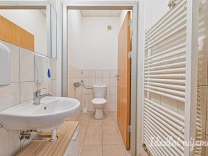 Pronájem bytu 6+kk a větší, Slavkov u Brna, U Mlýna, 260 m2