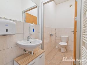 Pronájem bytu 6+kk a větší, Slavkov u Brna, U Mlýna, 260 m2