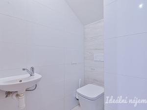 Pronájem bytu 6+kk a větší, Slavkov u Brna, U Mlýna, 260 m2