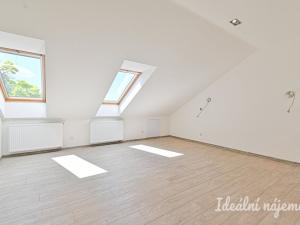 Pronájem bytu 6+kk a větší, Slavkov u Brna, U Mlýna, 260 m2