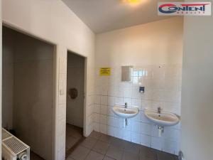 Pronájem výrobních prostor, Kostěnice, 2610 m2