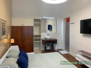 Pronájem bytu 1+1, Praha - Nové Město, Hálkova, 33 m2