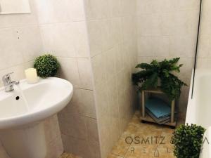 Pronájem bytu 3+1, Praha, U Královské louky, 85 m2