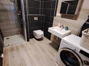 Pronájem bytu 1+kk, Olomouc, Loudova, 37 m2
