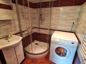 Pronájem bytu 2+1, Děčín, Teplická, 63 m2