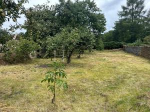 Pronájem bytu 2+1, Kamenné Žehrovice, Karlovarská třída, 55 m2