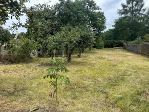 Pronájem bytu 2+1, Kamenné Žehrovice, Karlovarská třída, 55 m2