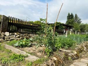 Prodej chalupy, Machov, 206 m2