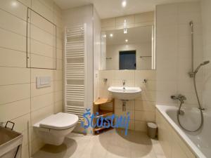 Pronájem bytu 1+kk, Špindlerův Mlýn, 34 m2