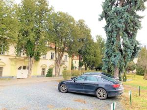 Pronájem kanceláře, Praha - Bubeneč, Na Zátorce, 50 m2