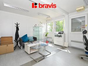 Pronájem skladu, Brno - Horní Heršpice, Pražákova, 177 m2