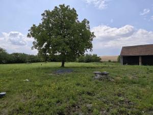 Prodej rodinného domu, Dymokury, 110 m2
