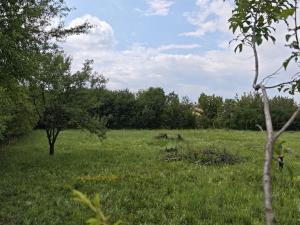 Prodej rodinného domu, Dymokury, 110 m2