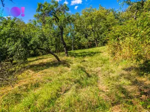 Prodej zahrady, Samotišky, 2632 m2