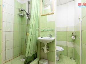 Prodej bytu 1+1, Ostrava - Slezská Ostrava, Bohumínská, 27 m2