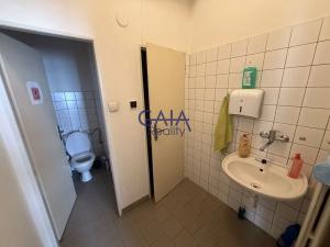 Prodej obchodního prostoru, Jindřichův Hradec, nám. Míru, 1200 m2