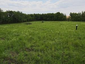 Prodej pozemku pro bydlení, Dymokury, 1000 m2