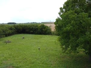 Prodej pozemku pro bydlení, Dymokury, 1000 m2