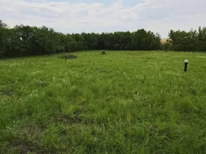 Prodej pozemku pro bydlení, Dymokury, 1000 m2