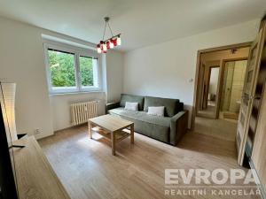Prodej bytu 1+1, Plzeň - Jižní Předměstí, Raisova, 30 m2
