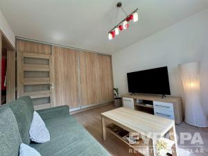 Prodej bytu 1+1, Plzeň - Jižní Předměstí, Raisova, 30 m2