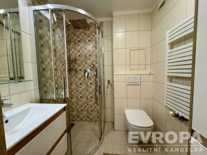 Prodej bytu 1+1, Plzeň - Jižní Předměstí, Raisova, 30 m2