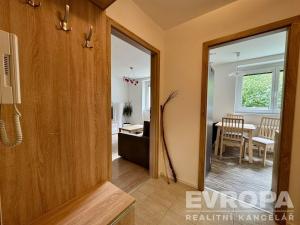Prodej bytu 1+1, Plzeň - Jižní Předměstí, Raisova, 30 m2