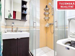 Pronájem bytu 2+1, Brno - Lesná, Milénova, 53 m2