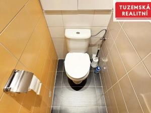 Pronájem bytu 2+1, Brno - Lesná, Milénova, 53 m2