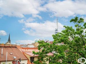Pronájem bytu 2+kk, Praha, Husinecká, 45 m2