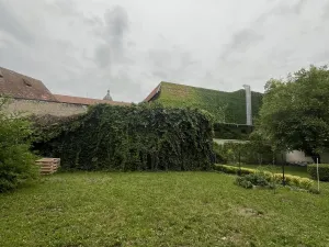 Pronájem bytu 2+kk, Olomouc, Dobrovského, 64 m2