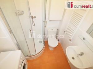 Pronájem bytu 1+1, Praha - Smíchov, Svornosti, 30 m2