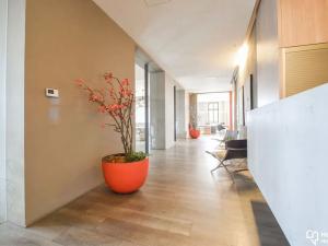 Pronájem kanceláře, Olomouc, tř. Svobody, 420 m2