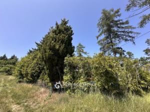 Prodej chaty, Jevišovice, 70 m2