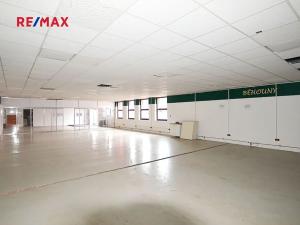 Pronájem obchodního prostoru, Frýdek-Místek, Třebízského, 250 m2