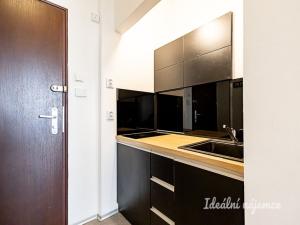 Pronájem bytu 1+kk, Praha - Staré Město, Dlouhá, 30 m2