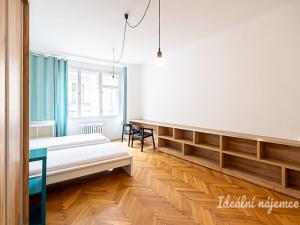 Pronájem bytu 1+kk, Praha - Staré Město, Dlouhá, 30 m2