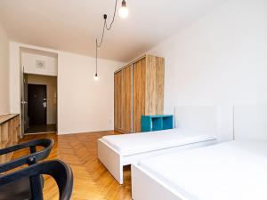 Pronájem bytu 1+kk, Praha - Staré Město, Dlouhá, 30 m2